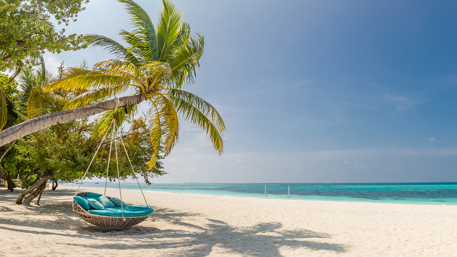 bahama beach with hanging comfy seat