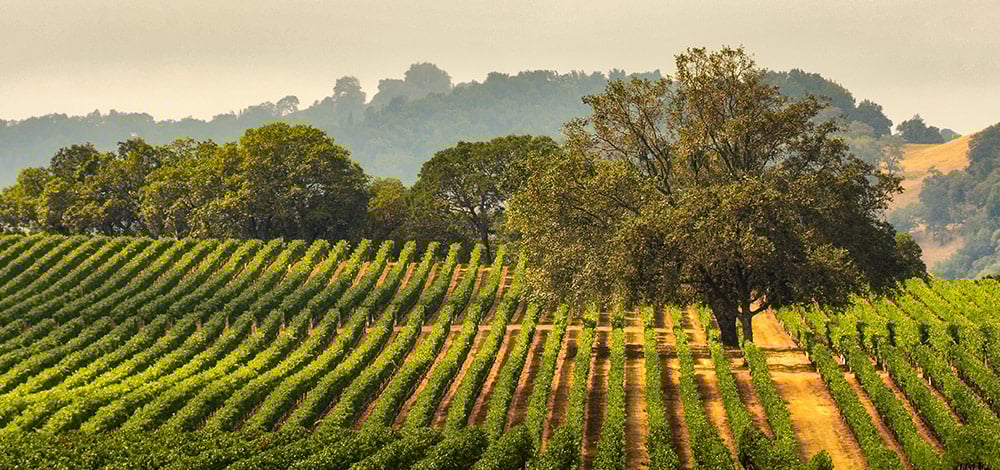 Sonoma, California