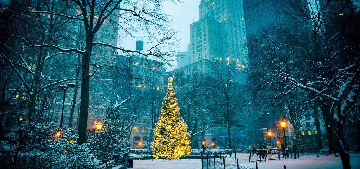 Large illuminated Christmas tree in snowy Central Park surrounded by bare trees and city buildings.