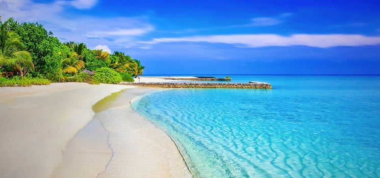 tropical beach on a sunny day