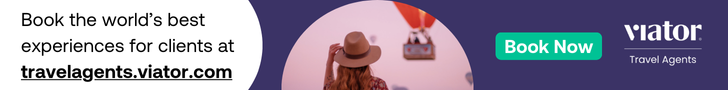 VIATORTRAVELAGENTS_2025728%C3%9790px image