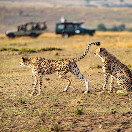 WildlifePark image